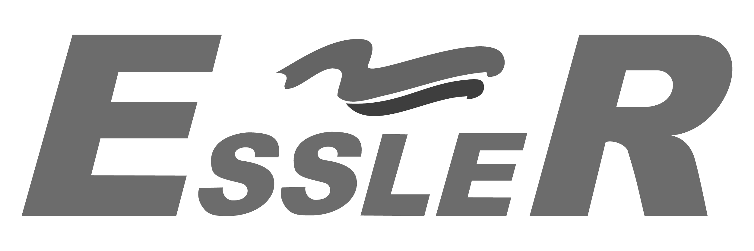 Logo Essler in Schwarz-Weiß