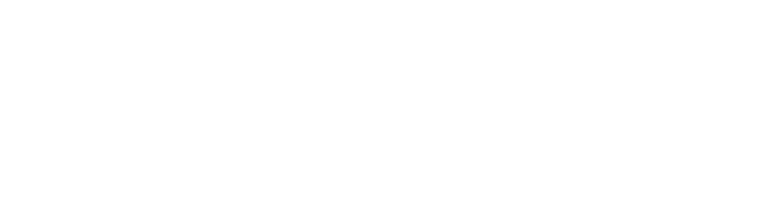 IPoR Logo weiß