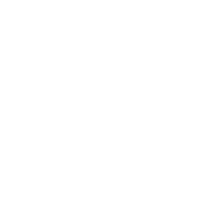 IPoR Logo Wellen-Icon
